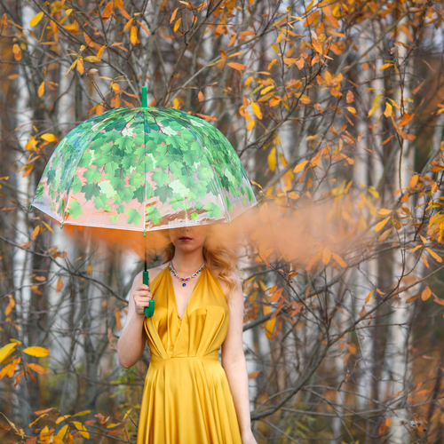 Photo #13839355