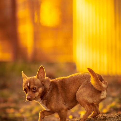 Photo #13839450