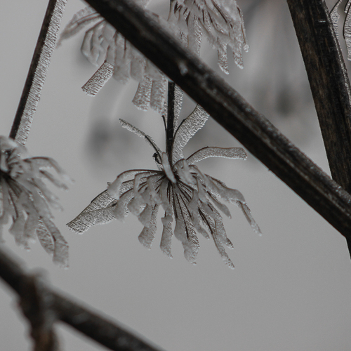 Photo #13839584