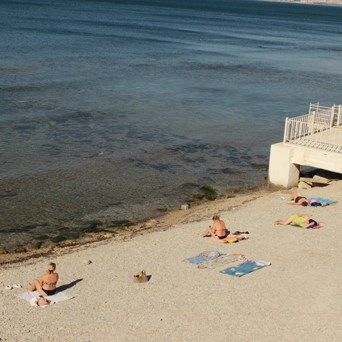Photo #13839608