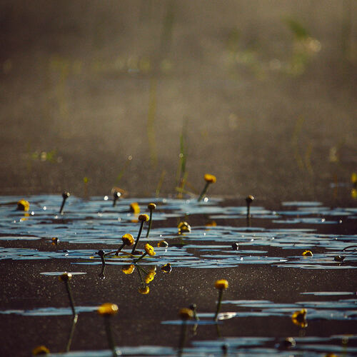 Photo #13839611