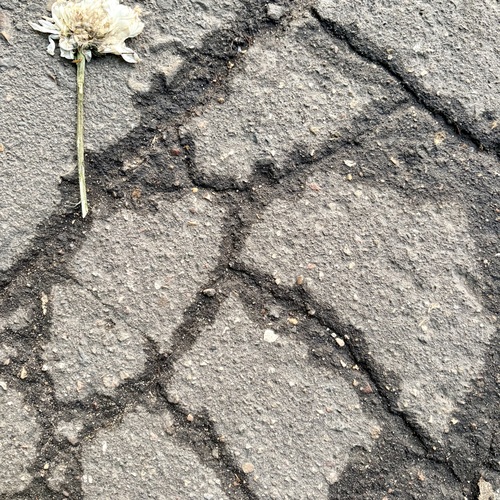 Photo #13839670