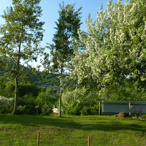 Photo #13839764