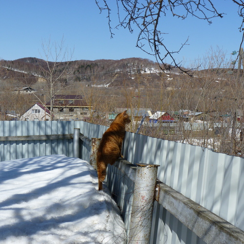 Photo #13839765