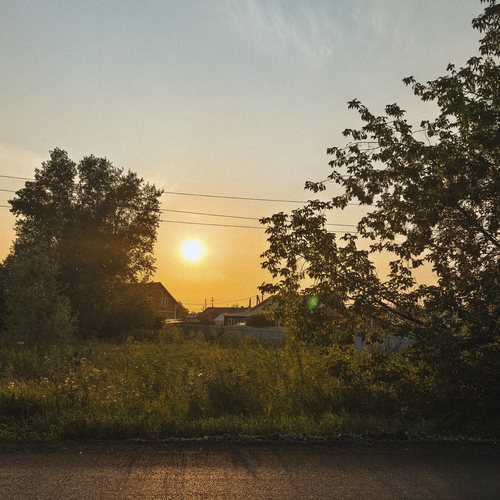 Photo #13839787