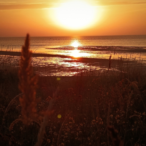 Photo #13839807
