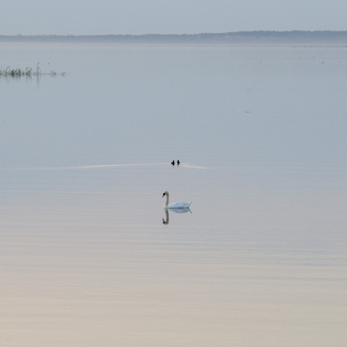 Photo #13839896