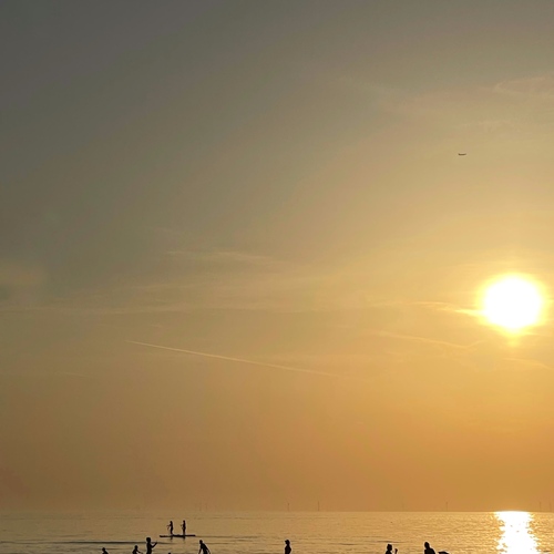 Photo #13839939