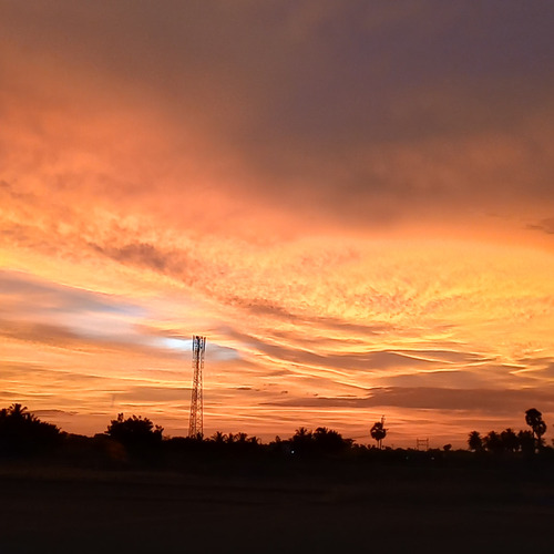Photo #13839988