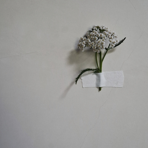 Photo #13840003