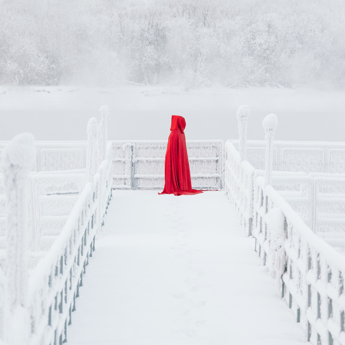 Photo #13840009