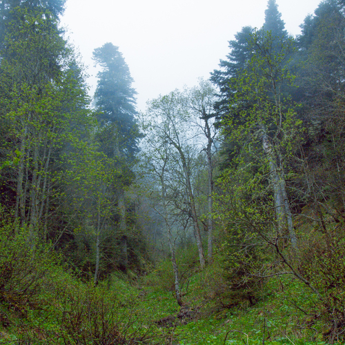Photo #13840068