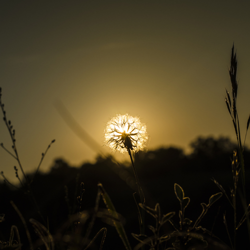 Photo #13840076