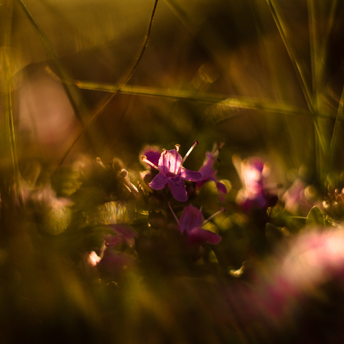 Photo #13840080