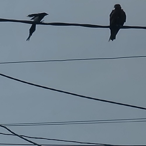 Photo #13840107