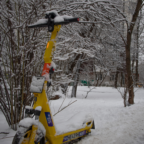 Photo #13840125