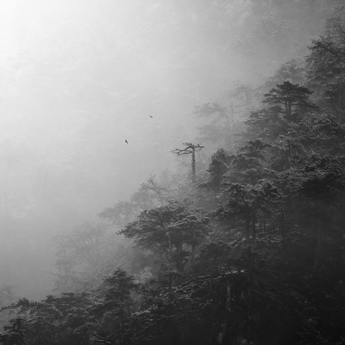 Photo #13840136