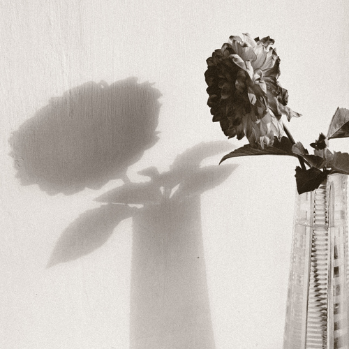Photo #13840165