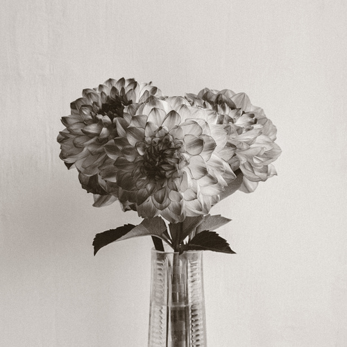 Photo #13840166