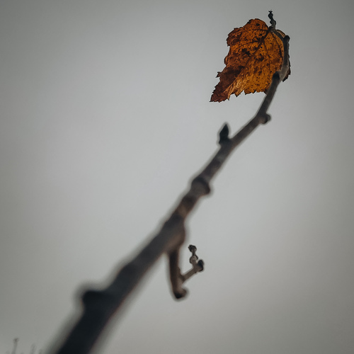 Photo #13840193