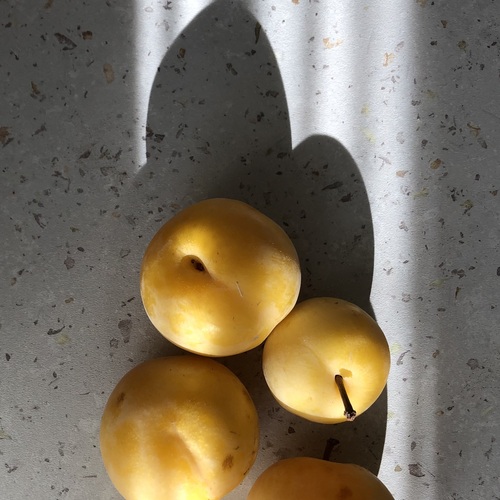 Photo #13840221