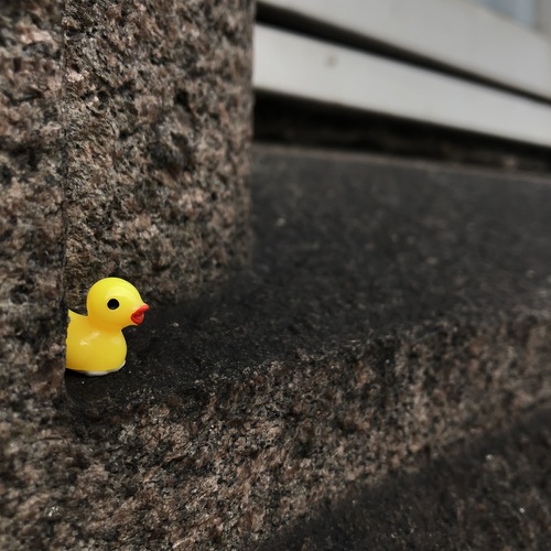 Photo #13840222