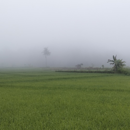 Photo #13840250