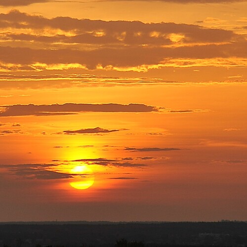 Photo #13840273