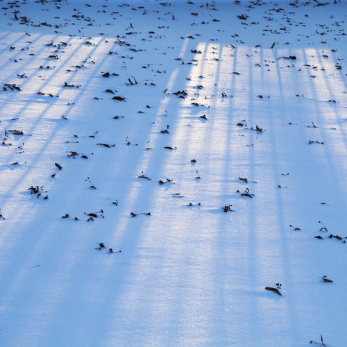 Photo #13840337
