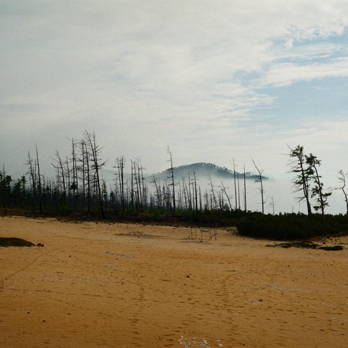 Photo #13840515