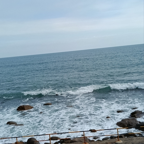 Photo #13840540