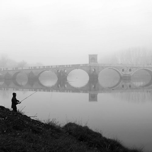 Photo #13840705