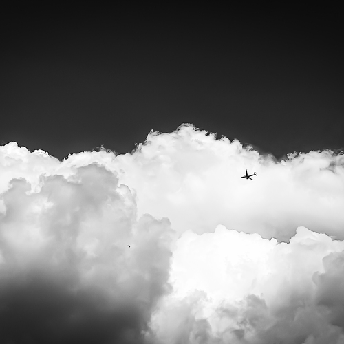 Photo #13840896