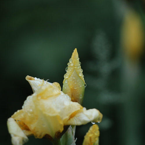 Photo #13840919