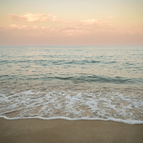 Photo #13840929