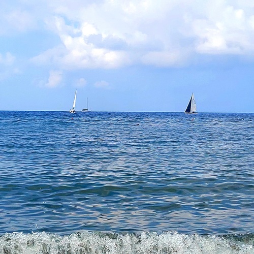 Photo #13841016