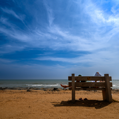 Timeless Tranquil