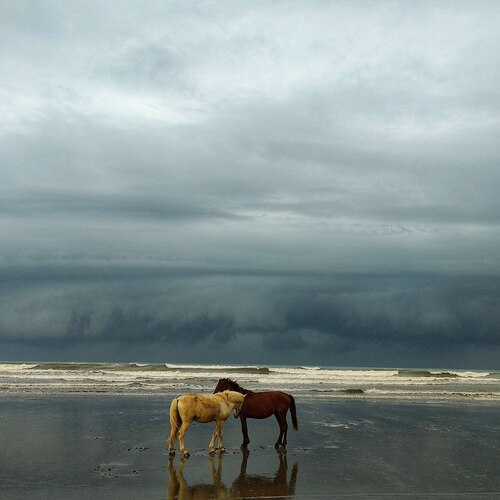 Together, even before the storm