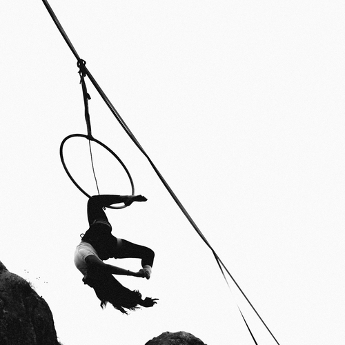 Photo #13841115