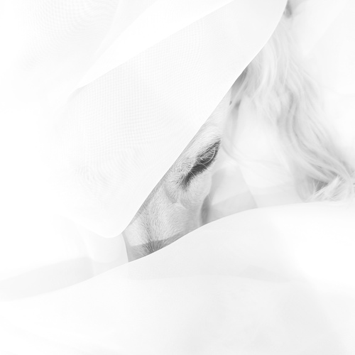 Photo #13841159