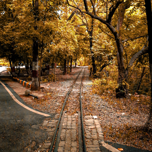 Photo #13841204