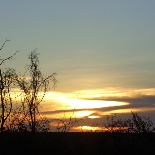 Photo #13841236