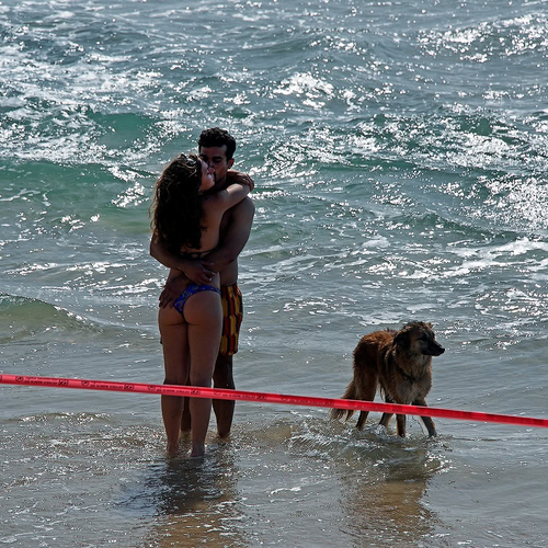 Photo #13841240