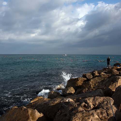 Photo #13841245