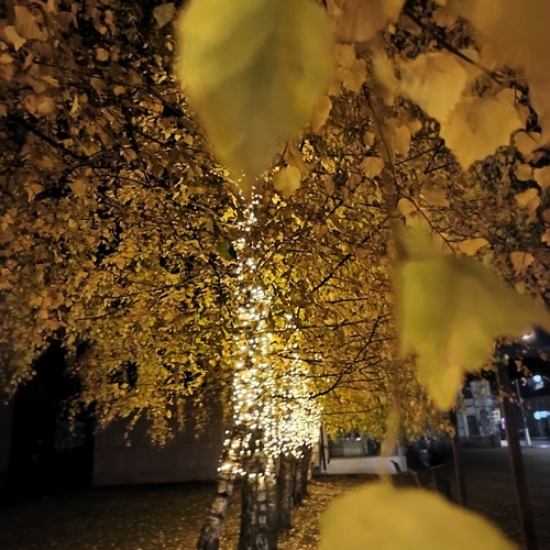 Photo #13841271