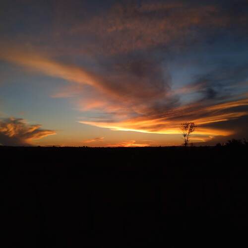 Photo #13841291