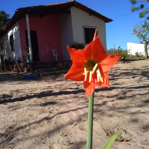 Photo #13841312