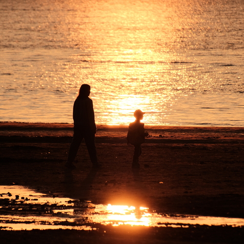 Photo #13841528