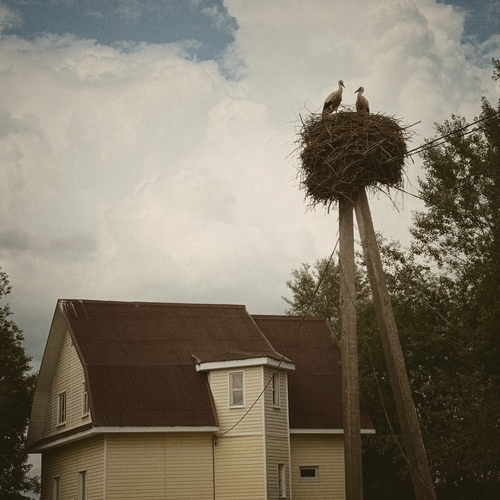 Photo #13841571