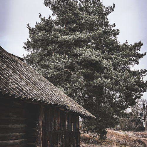 Photo #13841589